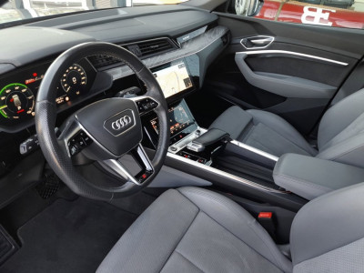 Audi Q8 e-tron Gebrauchtwagen