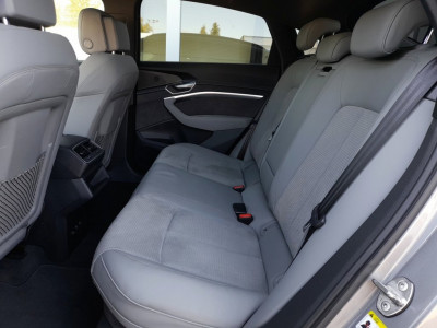 Audi Q8 e-tron Gebrauchtwagen
