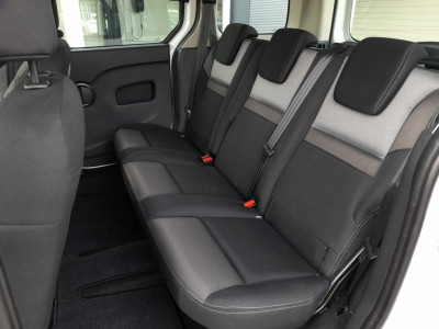 Renault Kangoo Gebrauchtwagen