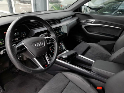 Audi Q8 e-tron Gebrauchtwagen