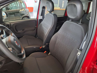 Fiat Panda Tageszulassung