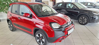 Fiat Panda Tageszulassung