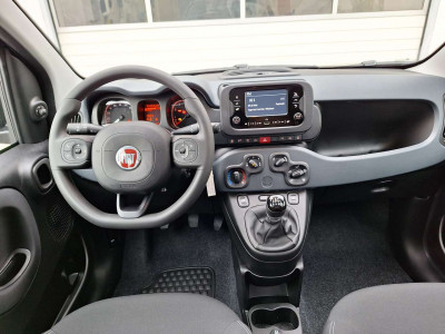 Fiat Panda Tageszulassung