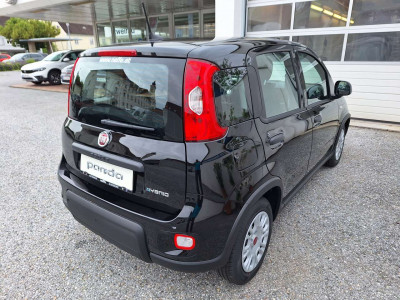 Fiat Panda Tageszulassung