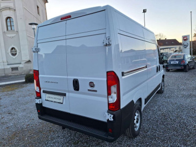 Fiat Ducato Tageszulassung