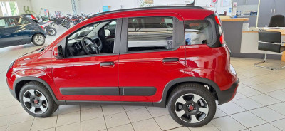 Fiat Panda Tageszulassung