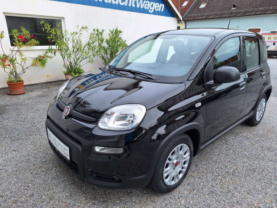 Fiat Panda Tageszulassung