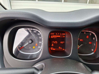 Fiat Panda Tageszulassung