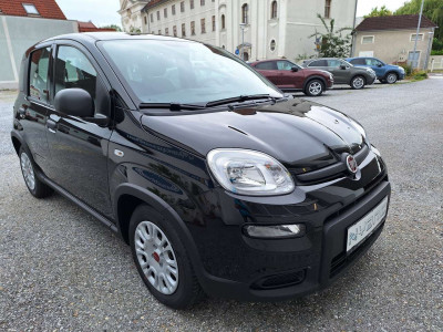 Fiat Panda Tageszulassung