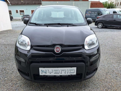 Fiat Panda Tageszulassung