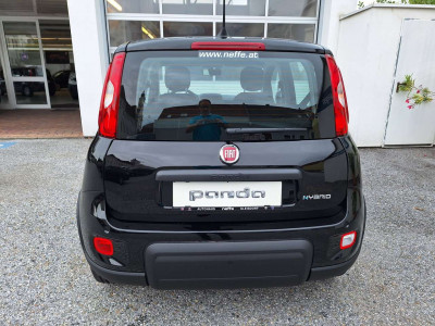 Fiat Panda Tageszulassung