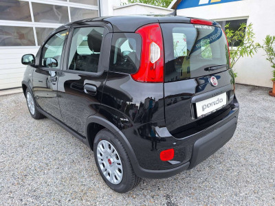 Fiat Panda Tageszulassung