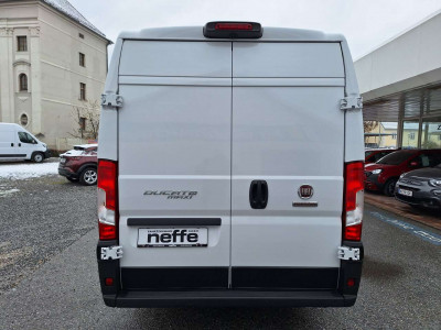 Fiat Ducato Vorführwagen