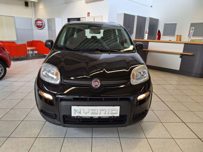 Fiat Panda Gebrauchtwagen