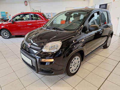 Fiat Panda Gebrauchtwagen