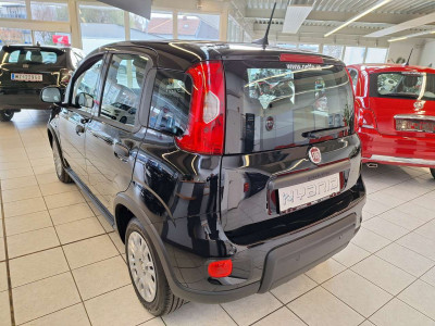 Fiat Panda Gebrauchtwagen