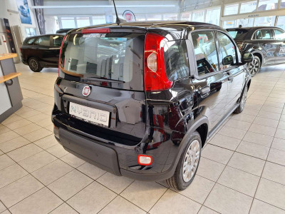 Fiat Panda Gebrauchtwagen