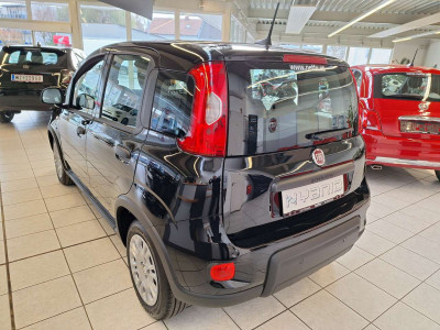 Fiat Panda Tageszulassung