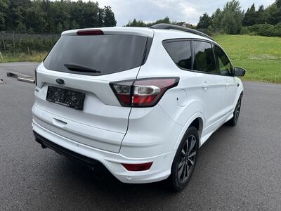 Ford Kuga Gebrauchtwagen