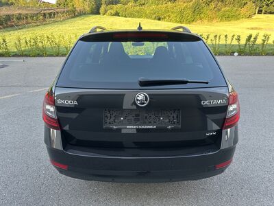 Skoda Octavia Gebrauchtwagen