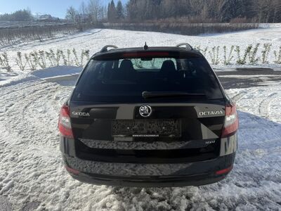 Skoda Octavia Gebrauchtwagen Skoda Octavia Gebrauchtwagen