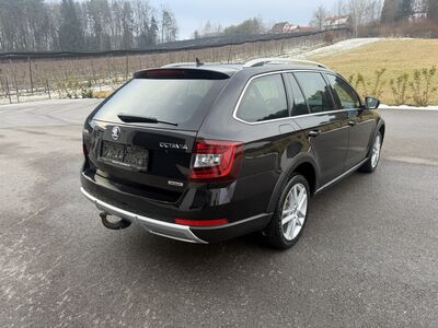Skoda Octavia Gebrauchtwagen