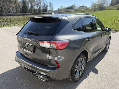 Ford Kuga Gebrauchtwagen