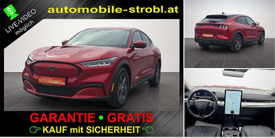Ford Mustang Mach-E Gebrauchtwagen Ford Mustang Mach-E Gebrauchtwagen