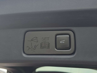 Ford Mustang Mach-E Gebrauchtwagen Ford Mustang Mach-E Gebrauchtwagen