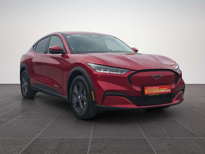 Ford Mustang Mach-E Gebrauchtwagen Ford Mustang Mach-E Gebrauchtwagen