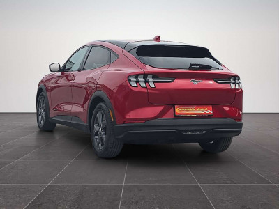 Ford Mustang Mach-E Gebrauchtwagen Ford Mustang Mach-E Gebrauchtwagen