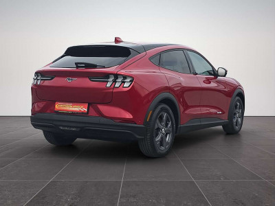 Ford Mustang Mach-E Gebrauchtwagen Ford Mustang Mach-E Gebrauchtwagen