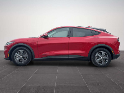 Ford Mustang Mach-E Gebrauchtwagen Ford Mustang Mach-E Gebrauchtwagen