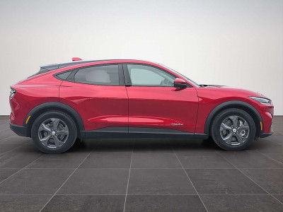 Ford Mustang Mach-E Gebrauchtwagen Ford Mustang Mach-E Gebrauchtwagen