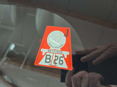 Tesla Model 3 Gebrauchtwagen