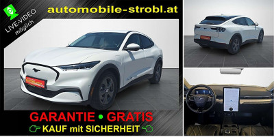 Ford Mustang Mach-E Gebrauchtwagen Ford Mustang Mach-E Gebrauchtwagen