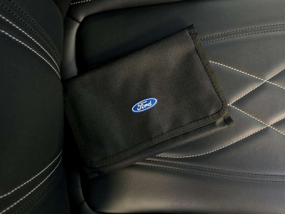 Ford Mustang Mach-E Gebrauchtwagen Ford Mustang Mach-E Gebrauchtwagen