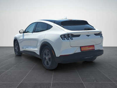 Ford Mustang Mach-E Gebrauchtwagen Ford Mustang Mach-E Gebrauchtwagen