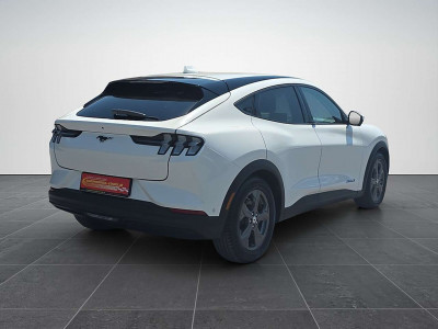 Ford Mustang Mach-E Gebrauchtwagen Ford Mustang Mach-E Gebrauchtwagen