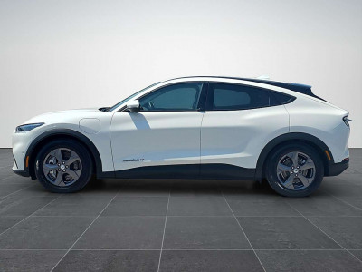 Ford Mustang Mach-E Gebrauchtwagen Ford Mustang Mach-E Gebrauchtwagen