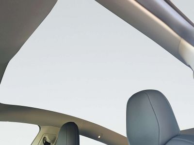 Tesla Model Y Gebrauchtwagen