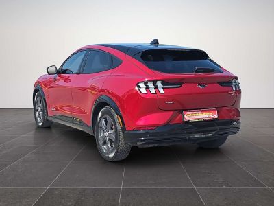 Ford Mustang Mach-E Gebrauchtwagen Ford Mustang Mach-E Gebrauchtwagen
