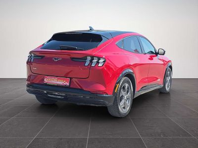 Ford Mustang Mach-E Gebrauchtwagen Ford Mustang Mach-E Gebrauchtwagen