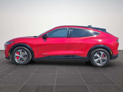 Ford Mustang Mach-E Gebrauchtwagen Ford Mustang Mach-E Gebrauchtwagen