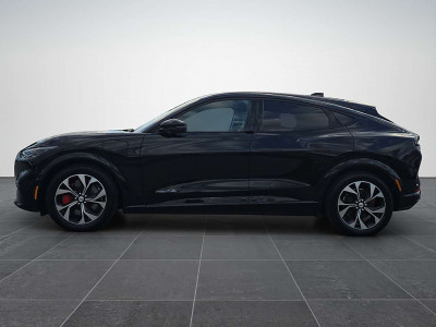Ford Mustang Mach-E Gebrauchtwagen