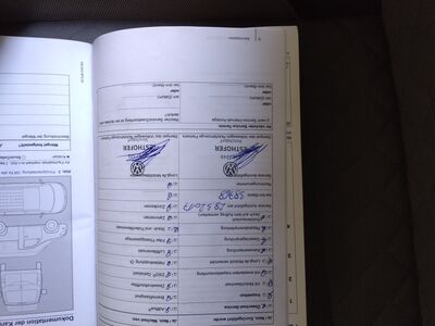 VW Amarok Gebrauchtwagen