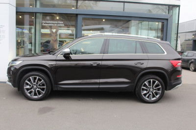 Skoda Kodiaq Gebrauchtwagen