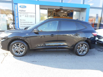 Ford Kuga Gebrauchtwagen