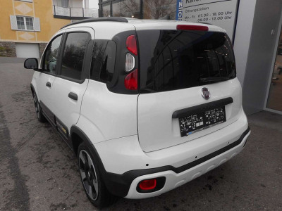 Fiat Panda Neuwagen