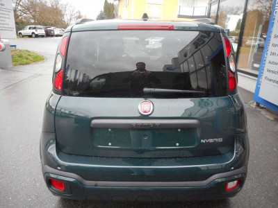 Fiat Panda Neuwagen